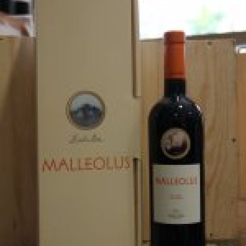 Malleolus