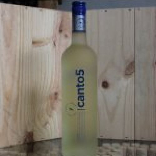 Canto 5 Verdejo Frizzé