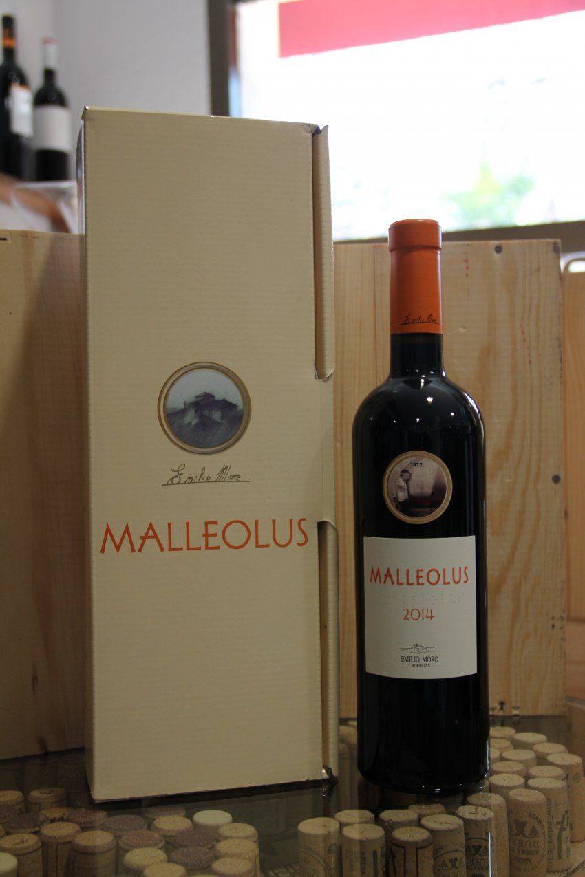 Malleolus