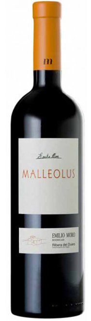 Malleolus