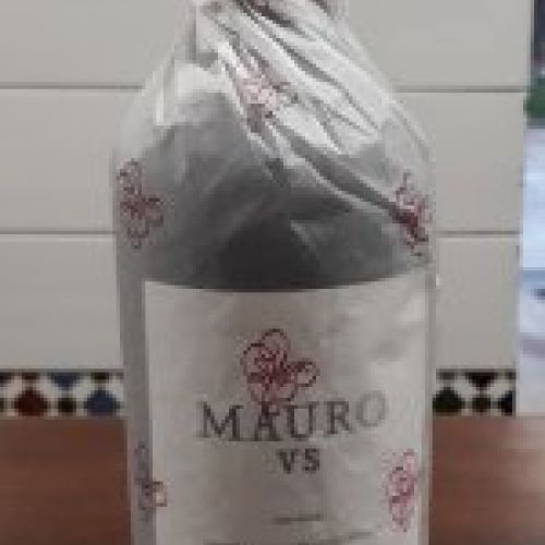 Mauro Vendimia Seleccionada 2016
