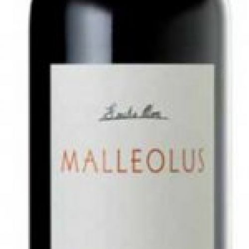 Malleolus