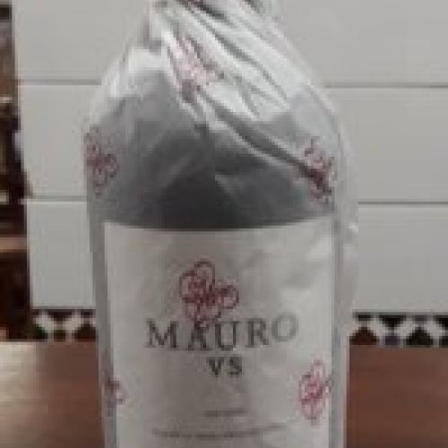 Mauro Vendimia Seleccionada 2016