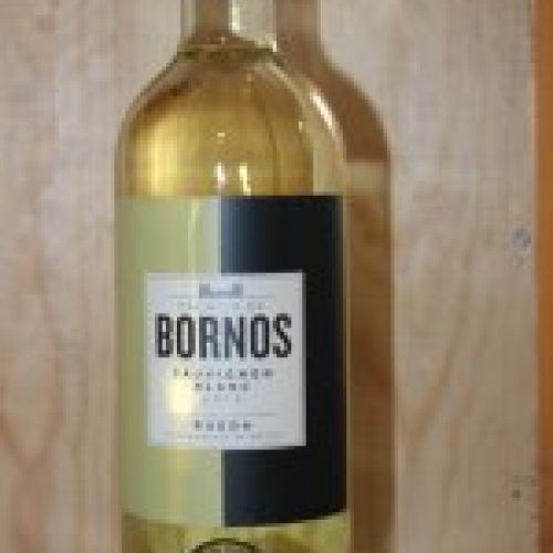 Palacio de Bornos Sauvignon Blanc