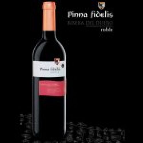 Pinna Fidelis Roble